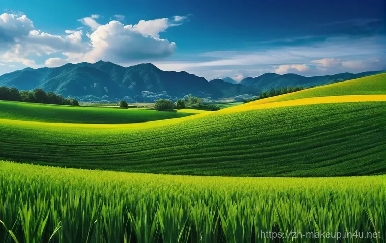 메이크업아티스트가 추천하는 웨딩 메이크업 스타일 관련 이미지 1